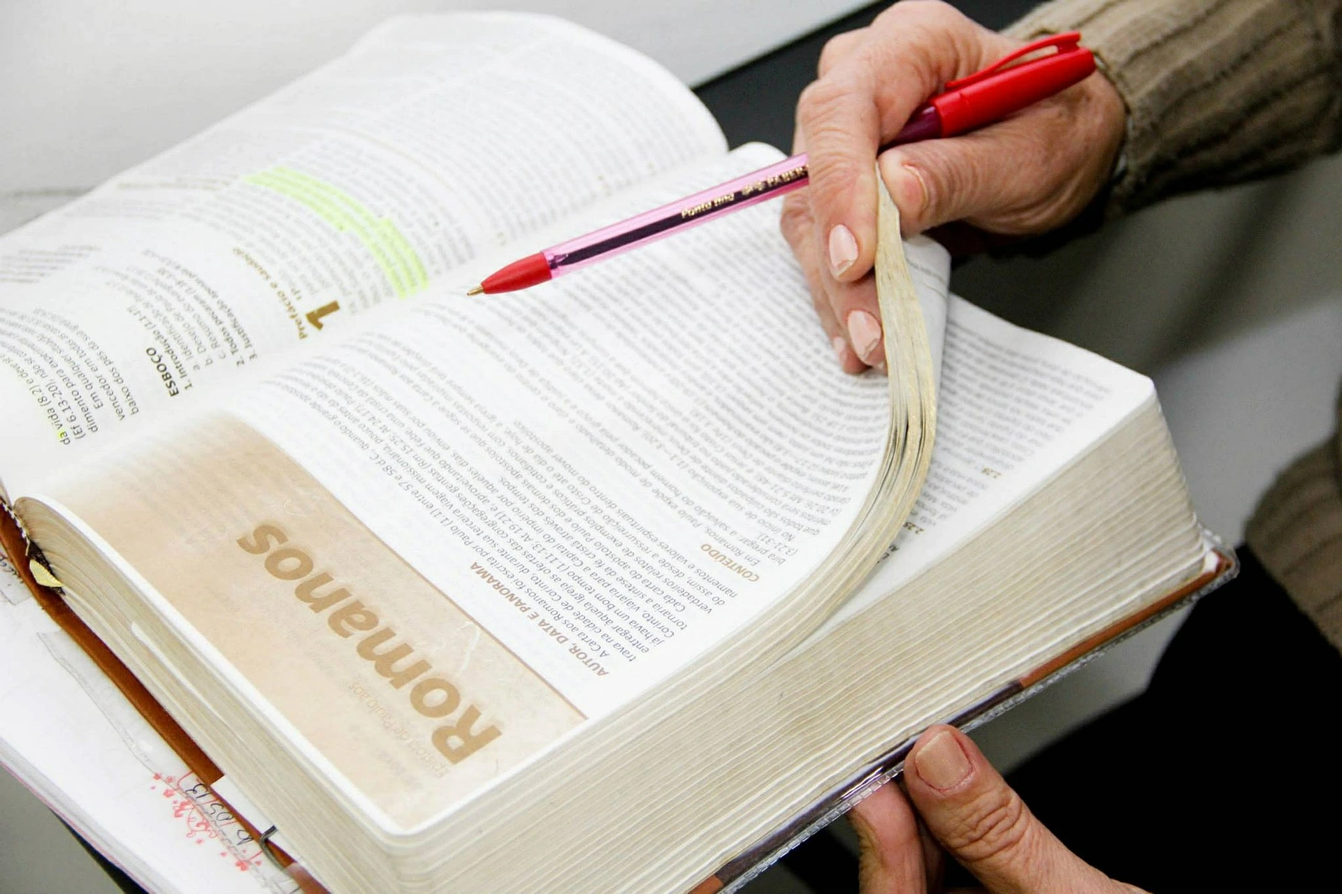 Estudio Biblia